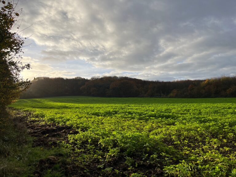 landschap Danikerberg